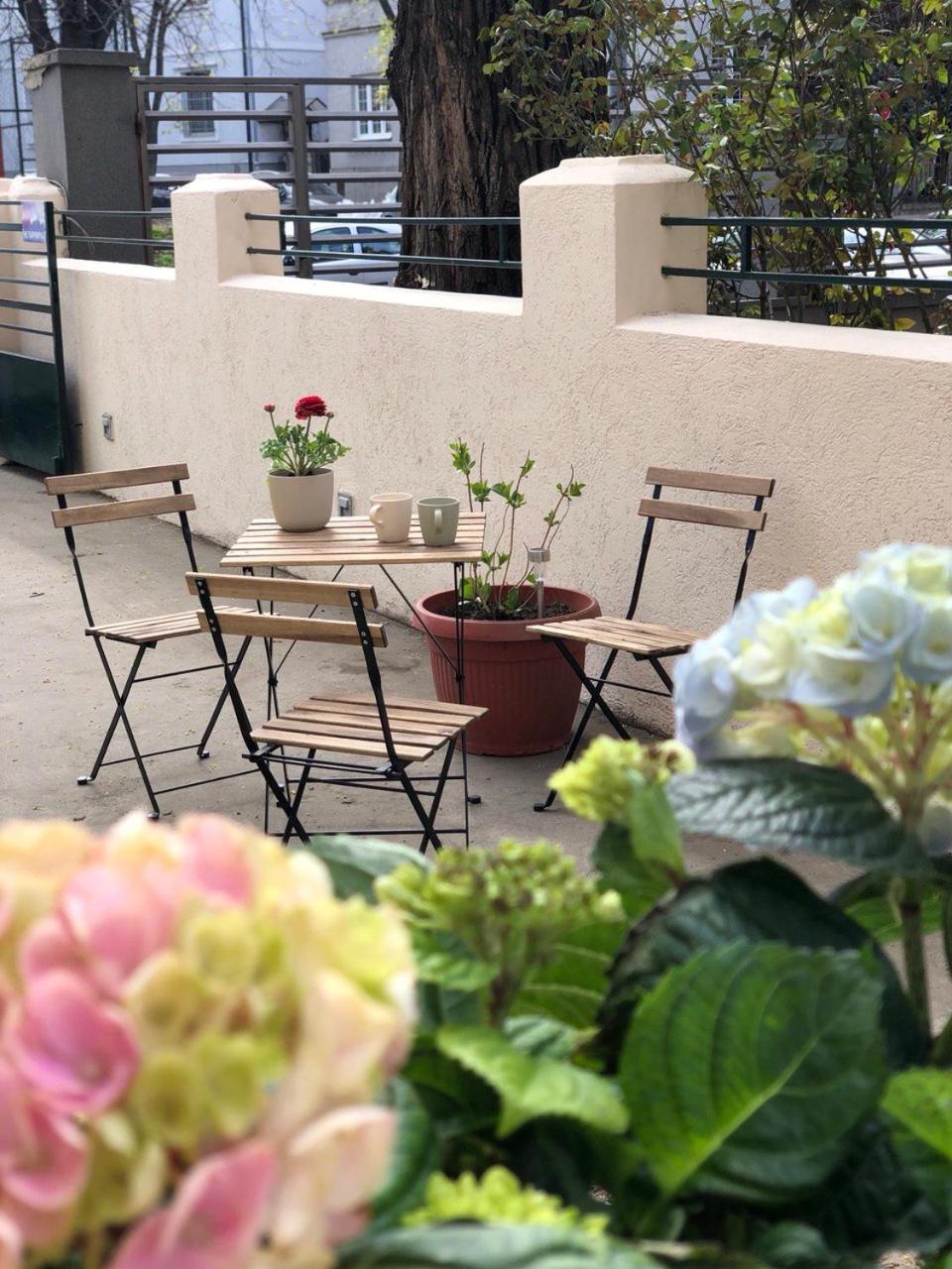 Cabbage Hostel Belgrad